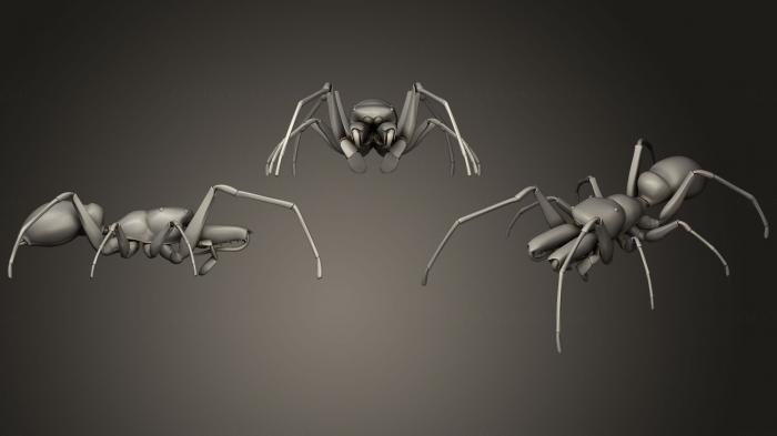 Insects (INSCT_0054) 3D model for CNC machine